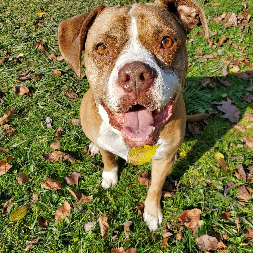 Meet your Posher, Posh